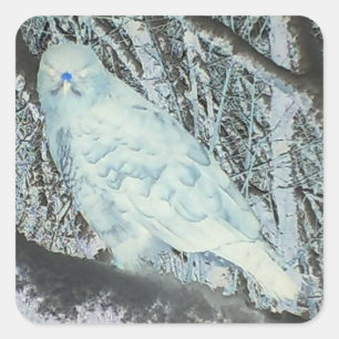 Spooky Buzzard on Branch Halloween Wildlife Forest Square Sticker