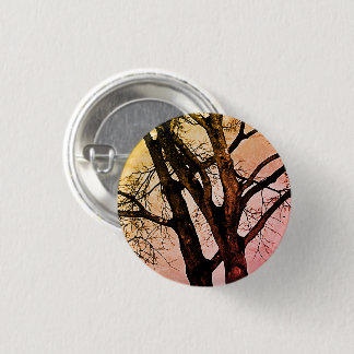 Spooky Eerie Leafless Tree Branches Photo Pin