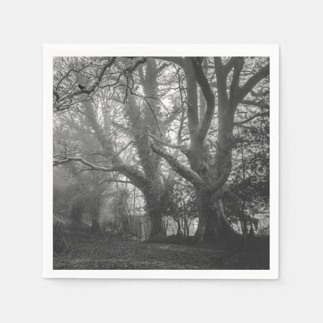 Spooky Forest Black and White Photography Napkin (Front)