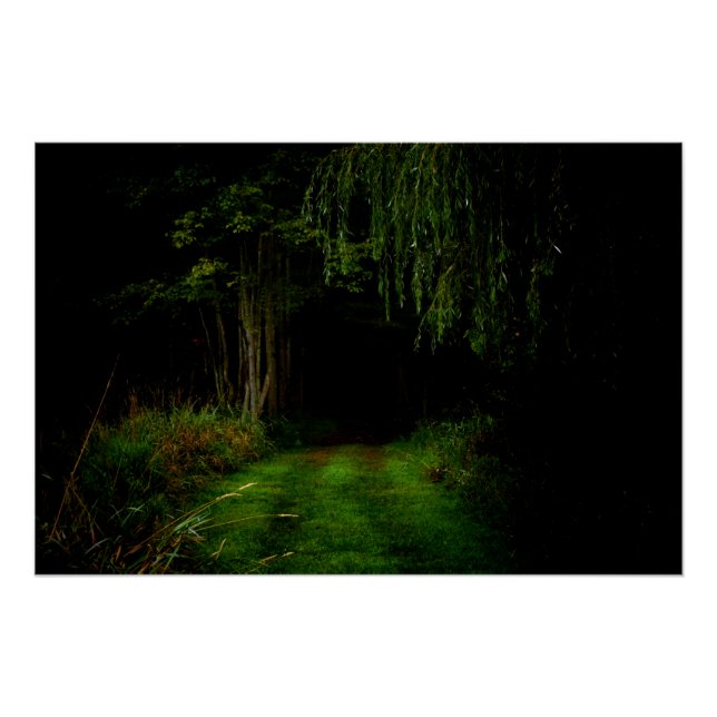 Spooky Forest Poster (Front)