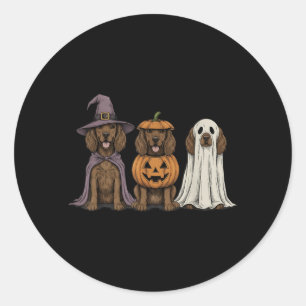 Spooky Ghost Boykin Spaniel Pumpkin Halloween Dog Classic Round Sticker