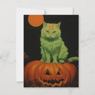Spooky Halloween Cat Postcard
