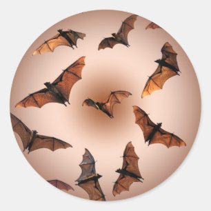 Spooky Halloween Fruit Bats (Flying foxes) Classic Round Sticker