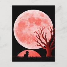 Spooky Halloween Greeting Postcard