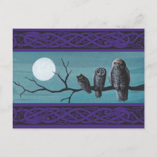Spooky Halloween Owls Postcard