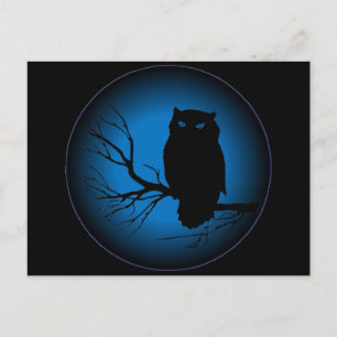 Spooky Owl Blue Moon Postcard