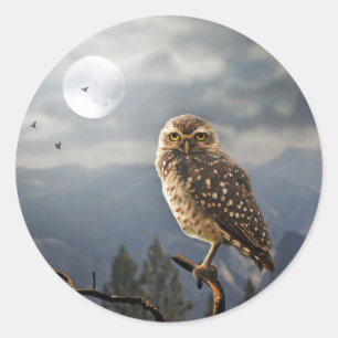 Spooky Owl Moon Graphic Classic Round Sticker