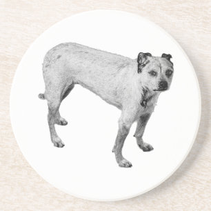 Spooky Porch Watch Coaster