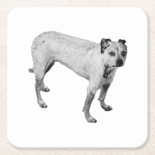 Spooky Porch Watch Square Paper Coaster