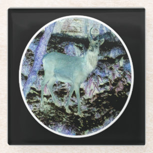 Spooky Red Deer Stag Dark Woodland Moody Scene Glass Coaster