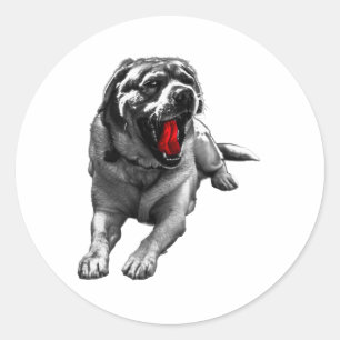 Spooky Red Tongue Pup Classic Round Sticker