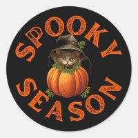Spooky Season Pumpkin Cat