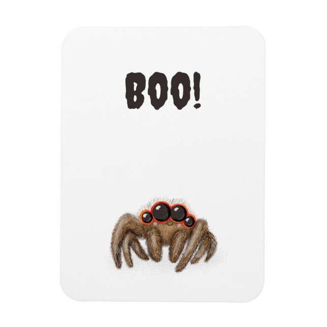 Spooky spider 'Boo!' Halloween magnet (Vertical)