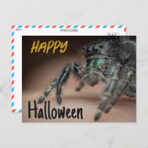Spooky Spider Halloween Greeting