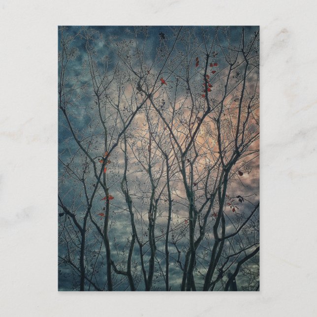 Spooky Trees Postcard (Front)