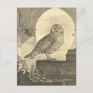 Spooky Vintage Halloween Owl Postcards