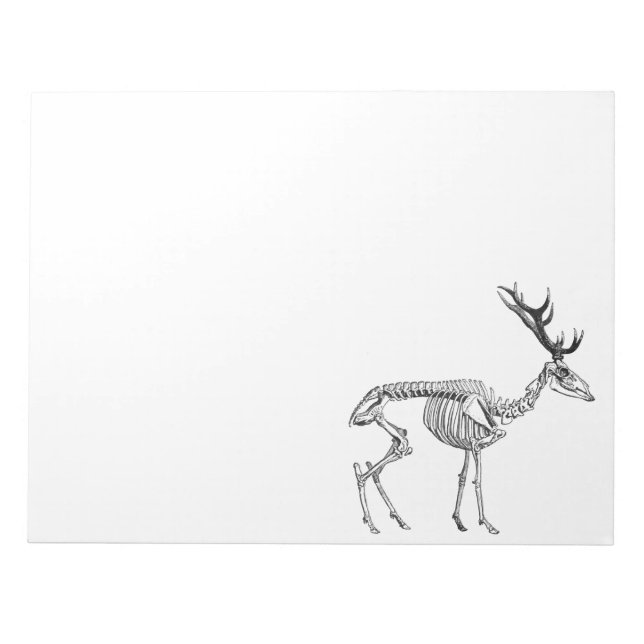 Spooky vintage skeleton reindeer drawing notepad (Front)