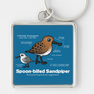 Spoon-billed Sandpiper Statistics Key Ring
