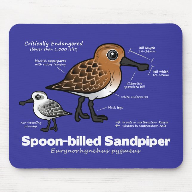 Spoon-billed Sandpiper Statistics Mouse Mat (Front)