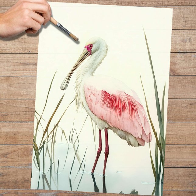 Spoonbill 2 Decoupage Paper (Creator Uploaded)