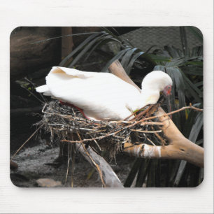 Spoonbill bird on nest in Spain Mouse Mat