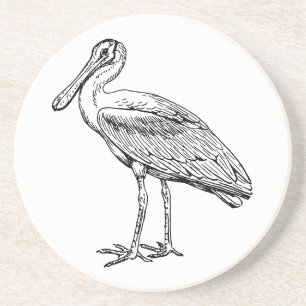Spoonbill Coaster