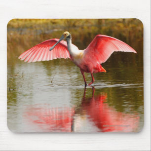 Spoonbill Mouse Mat