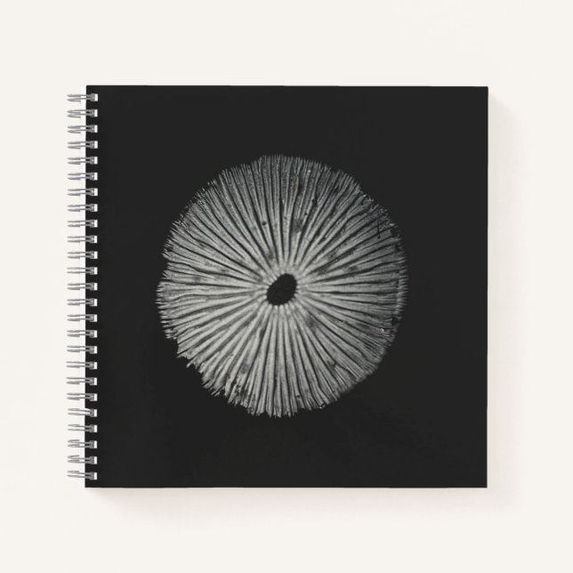 Spore Print Note Card Notebook (Front)