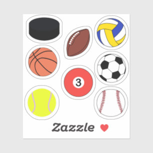 Sports ball puck pack