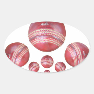 Sports Lover’s Cricket Ball Print Oval Sticker