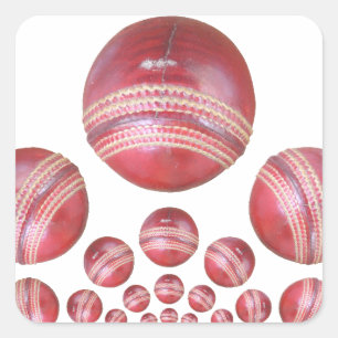 Sports Lover’s Cricket Ball Print Square Sticker