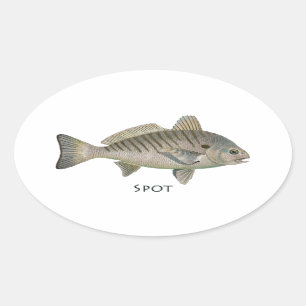 Spot Fish Oval Sticker