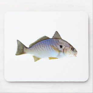 Spot Fish Photo Mouse Mat