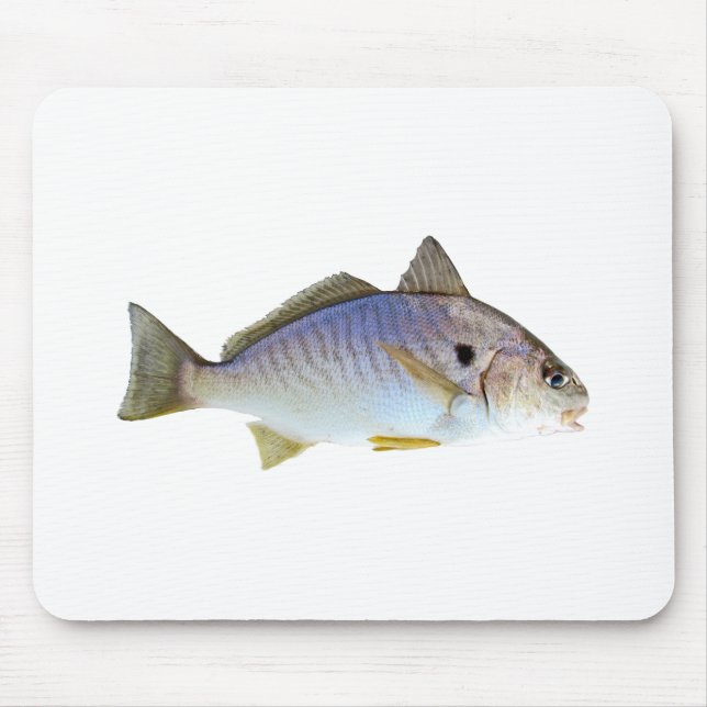Spot Fish Photo Mouse Mat (Front)