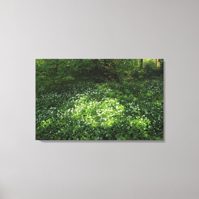 Spot of Garlic Canvas Print (Front)