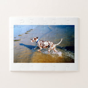 Spot the dalmatian dog jigsaw puzzle
