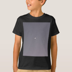 Spot the Moon T-Shirt