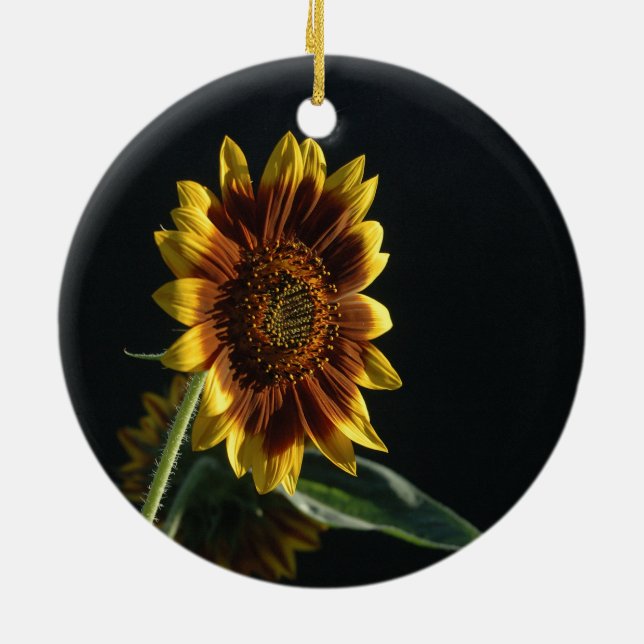 Spotlight on A Beautiful Sunflower Ceramic Ornamen Ceramic Tree Decoration (Back)