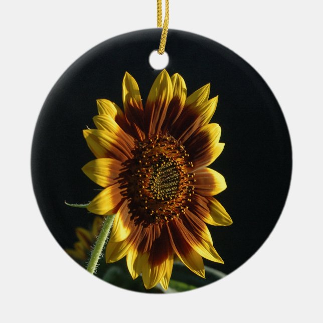 Spotlight on A Beautiful Sunflower Ceramic Tree Decoration (Front)