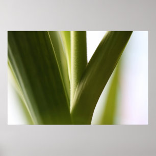 Spotlight on Support Poster
