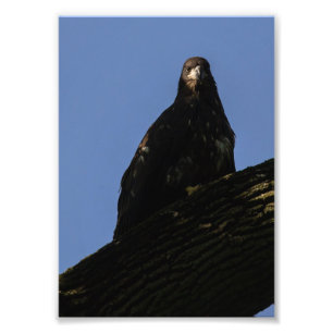 Spotlight Photo Print