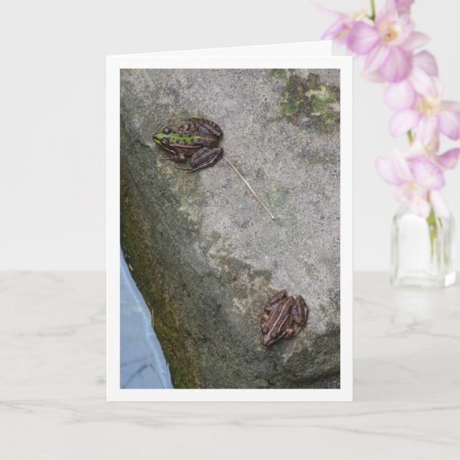 Spotted and Striped Frogs Card (Orchid)