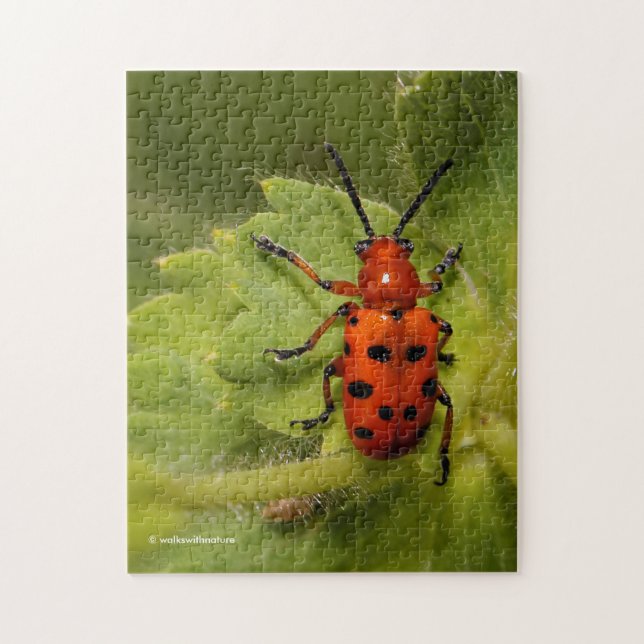Spotted Asparagus Beetle on Leaf Jigsaw Puzzle (Vertical)