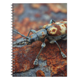 Spotted Beetle Rust Notebook