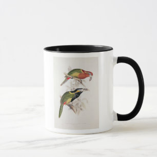 Spotted Bill Aracari, 19th century Mug