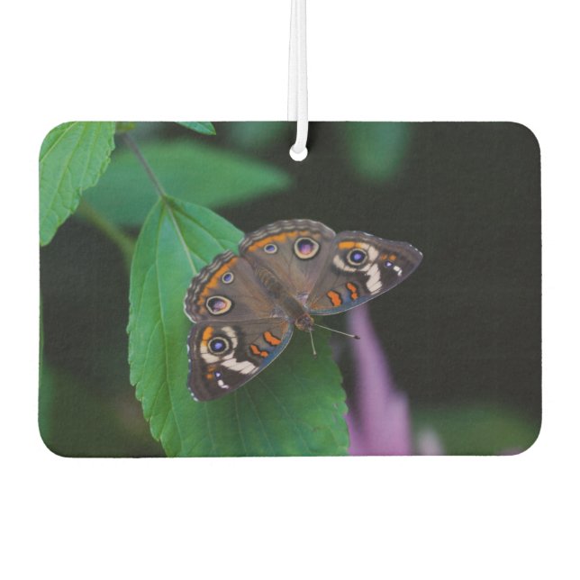 Spotted Butterfly Car Air Freshener (Front)