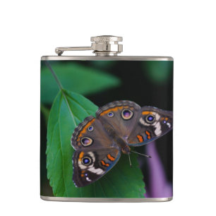 Spotted Butterfly Hip Flask