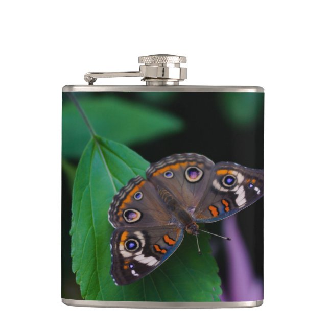 Spotted Butterfly Hip Flask (Front)