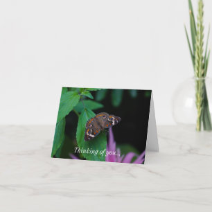 Spotted Butterfly Thinking Of You Card