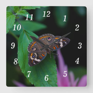 Spotted Butterfly Wall Clock